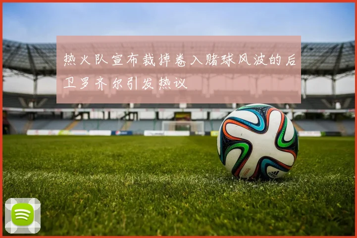 热火队宣布裁掉卷入赌球风波的后卫罗齐尔引发热议