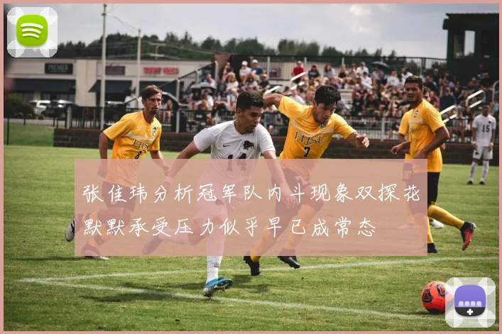 张佳玮分析冠军队内斗现象双探花默默承受压力似乎早已成常态
