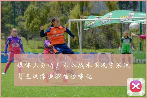 媒体人分析广东队战术困境陈家政与王洪泽逐渐被边缘化